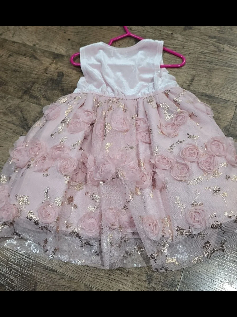 Blueberi Boulevard Pink Floral Velvet & Tulle Party Dress Sz 18 Months